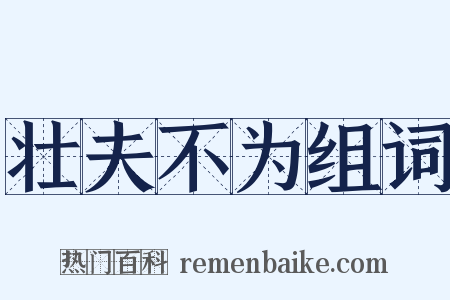 壮夫不为组词是什么意思的图片